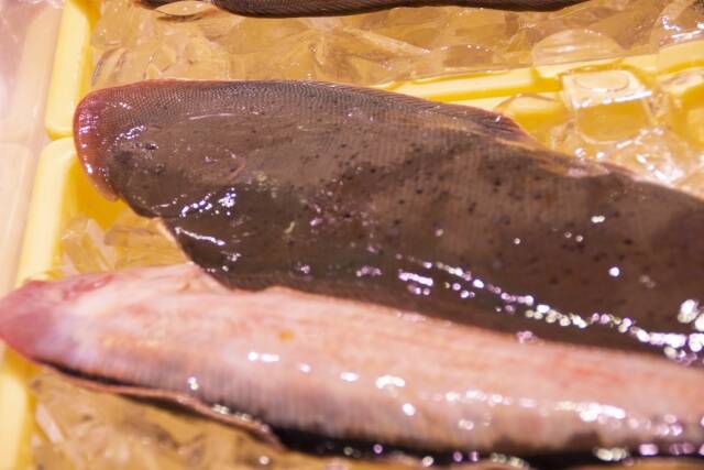 忘れられない味②舌の上で泳ぎ出す舌平目は濃厚な大西洋の味【ミシュラン完全制覇への道】