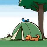 「【キャンプ入門】ひとりで。ふたりで。自然の中で《時間（とき）を味わうキャンプ》前編」の画像5