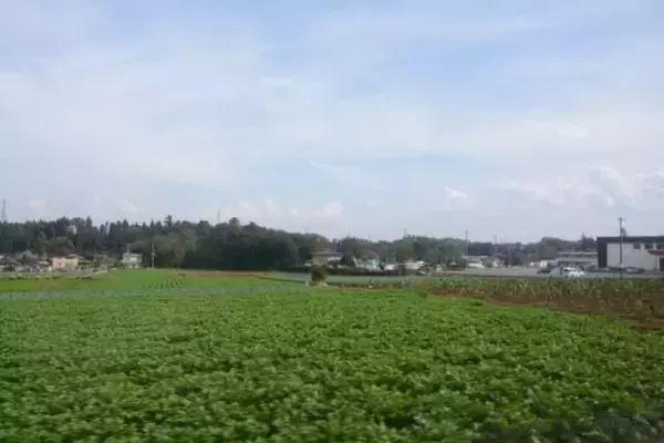 「銚子行き特急「しおさい」の旅」の画像