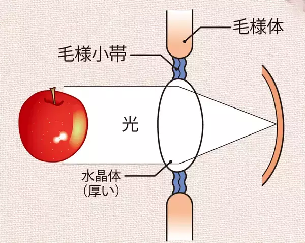 「現代病「スマホ老眼」に要注意！」の画像
