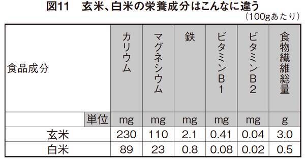 江戸幕府3代将軍 徳川家光の寿命を縮めたのはお米だった 19年3月6日 エキサイトニュース