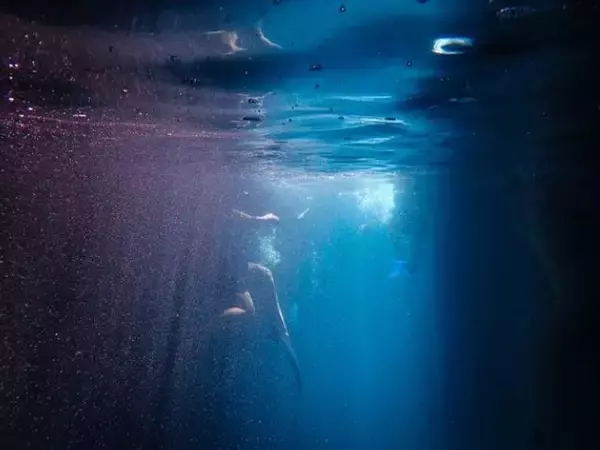 「海の怪談――波間に浮かぶ〝それ〟を見てはいけない」の画像