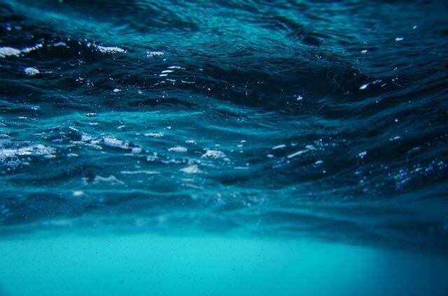 海の怪談――波間に浮かぶ〝それ〟を見てはいけない