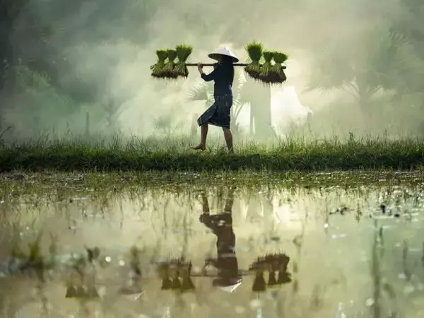 おいしく飲んでいる水道の水、実は労働側は深刻な人手不足って知っていましたか？