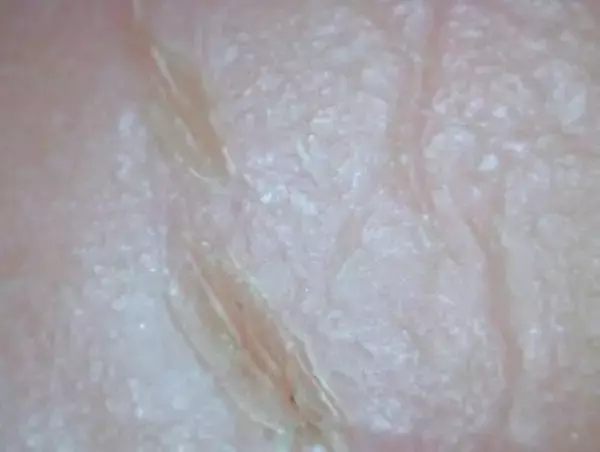 「あなたの手洗いは正しい？ インフルエンザ対策の落とし穴は手洗い後のハンドケアにあった!?」の画像