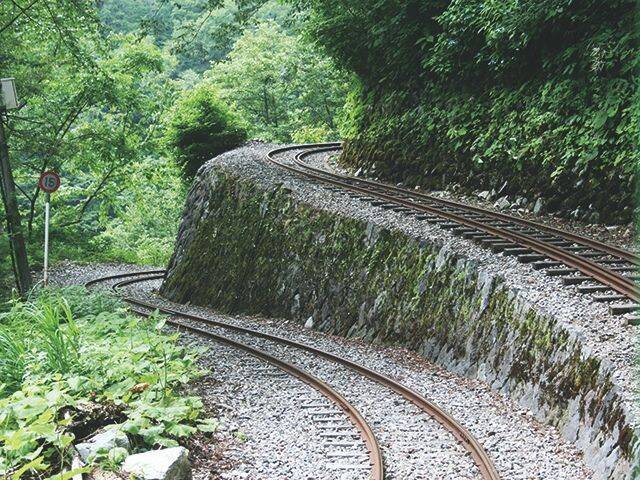幻の鉄道「立山砂防工事専用軌道」に乗ってみた！ ～女子鉄ひとりたび～