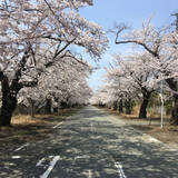 「作詞・柳美里、作曲・長渕剛。奇跡の校歌を生んだ「一通の手紙」」の画像2