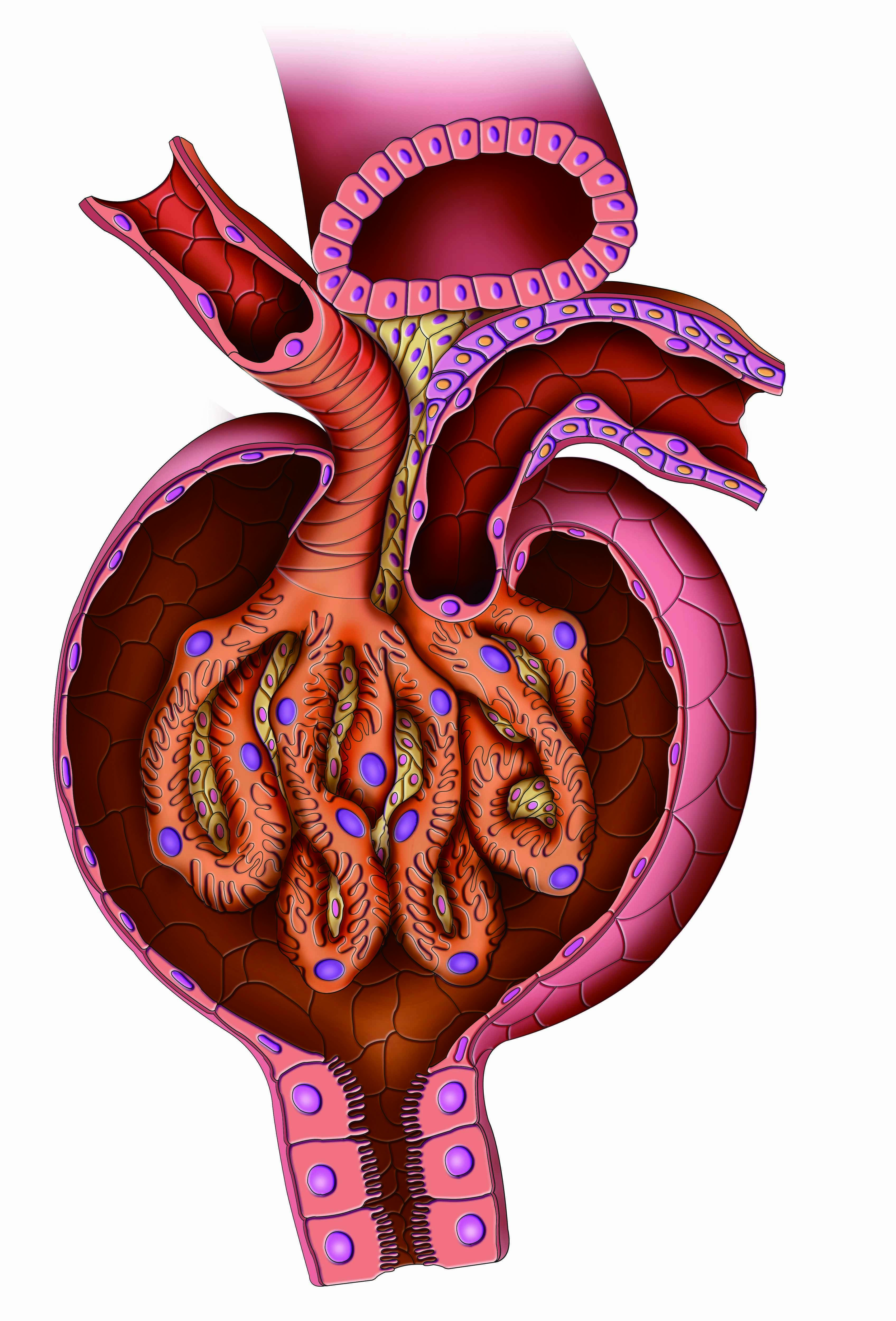 黄褐色の尿は内臓疾患の可能性大 17年6月21日 エキサイトニュース