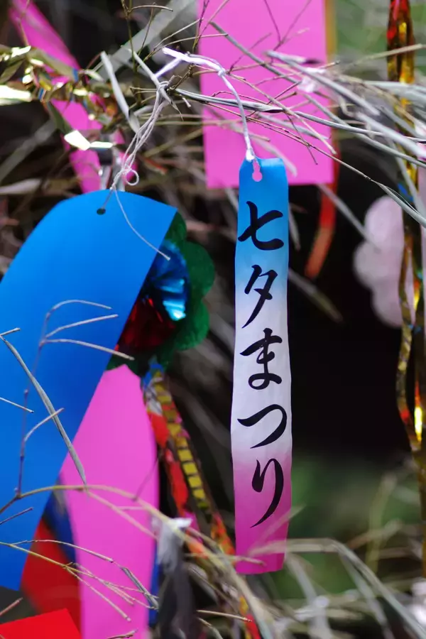 「七夕の短冊の色には、実は意味がある」の画像