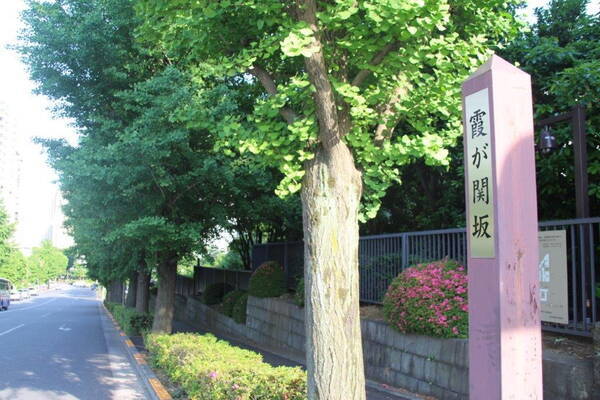 埼玉にも 霞ヶ関 があった さらに深掘りするとその本拠地は 17年10月28日 エキサイトニュース