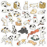 「歌川国芳が「猫」を通して描いた江戸文化」の画像2