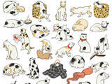 「歌川国芳が「猫」を通して描いた江戸文化」の画像1
