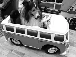 サナダムシダイエット で50kg痩せる 怖いのは 死ぬほど痛いわけじゃないけれど死にたくなる痛み 17年12月7日 エキサイトニュース 3 3 サナダムシダイエット で50kg痩せる 怖いのは 死ぬほど痛いわけじゃないけれど死にたくなる痛み 17年12月7日 エキサイトニュース 3 3