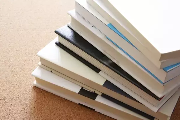 「マンガがメインカルチャー扱いになったきっかけ？ 平成の「謎本ブーム」とは」の画像