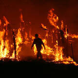 「織田信長は上京焼き討ちの向こうに何を見ていたのか」の画像2