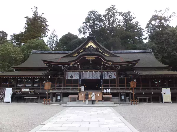 「平地なのになぜスイッチバック？聖地鉄道“謎解き”の旅」の画像