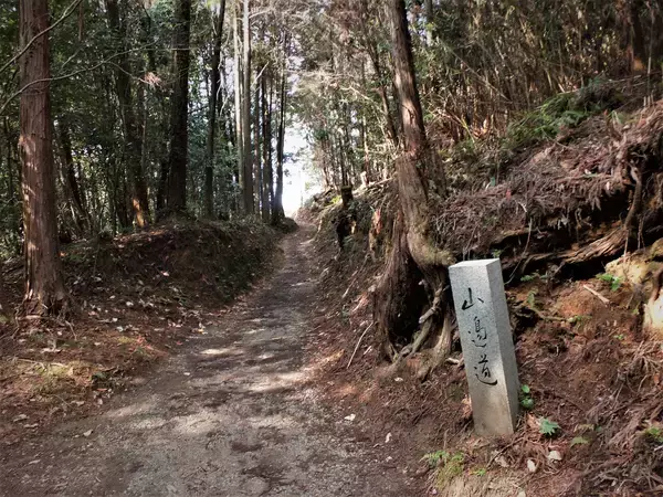 「平地なのになぜスイッチバック？聖地鉄道“謎解き”の旅」の画像