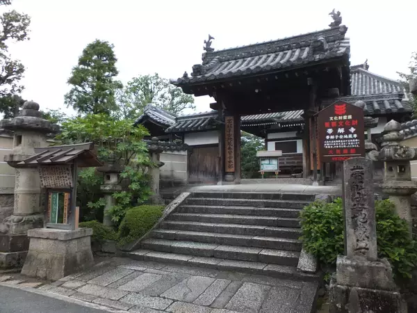 「平地なのになぜスイッチバック？聖地鉄道“謎解き”の旅」の画像