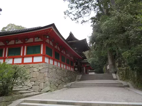 「平地なのになぜスイッチバック？聖地鉄道“謎解き”の旅」の画像