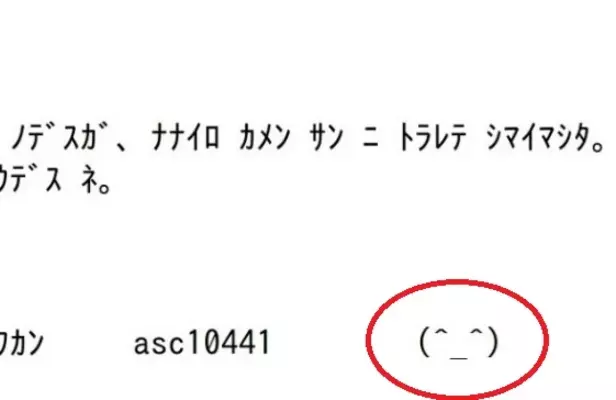自衛隊愛媛地本ツイッターが 正しい敬礼 の顔文字使用に変更 W 年6月11日 エキサイトニュース