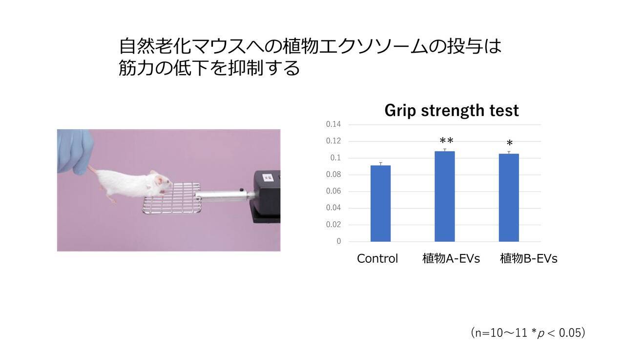 「パセリのサプリ」で10歳若返る？東大発スタートアップが賞金160億円レース入賞、専門医の見解は