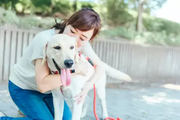 犬は人間の顔から「喜び」「恐怖」などの感情を読み取れる。ウィーン大学の研究で判明