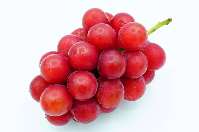 A I 失業という大嘘――「１房数万円のブドウ」が教える新経済圏の正体【林直人】