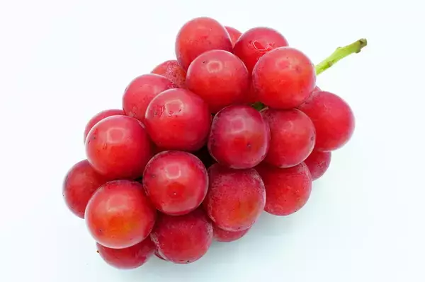 「A I 失業という大嘘――「１房数万円のブドウ」が教える新経済圏の正体【林直人】」の画像