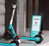 「自転車と比べ規制ユルユル「LUUP」に怒り。無料キャンペーンの前にヘルメット着用を義務化せよ！」の画像1