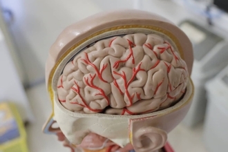 脳腫瘍の検査に革新か。精度90％以上の血液検査が研究進行中