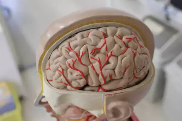 脳腫瘍の検査に革新か。精度90％以上の血液検査が研究進行中