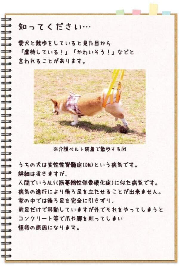 虐待ではないことを知ってほしい 脊髄の病と闘いながらも散歩を楽しむワンコ 愛情いっぱいの飼い主の呼びかけが話題に 17年5月19日 エキサイトニュース