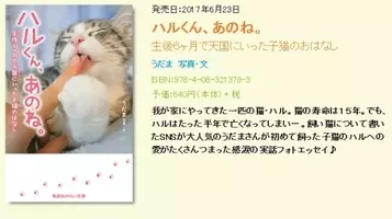 人気猫マンガ家 うだま氏が盗用疑惑で炎上 著作権侵害を認め謝罪 16年11月22日 エキサイトニュース