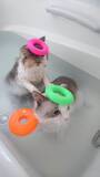 「お風呂？余裕だニャン　おとなしく湯船に浸かる猫が猫飼いには衝撃的だと話題に」の画像3