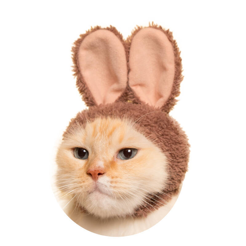 猫がうさぎに変身する被り物 ねこうさぎちゃん に新色 スイーツカラー が登場 17年8月9日 エキサイトニュース