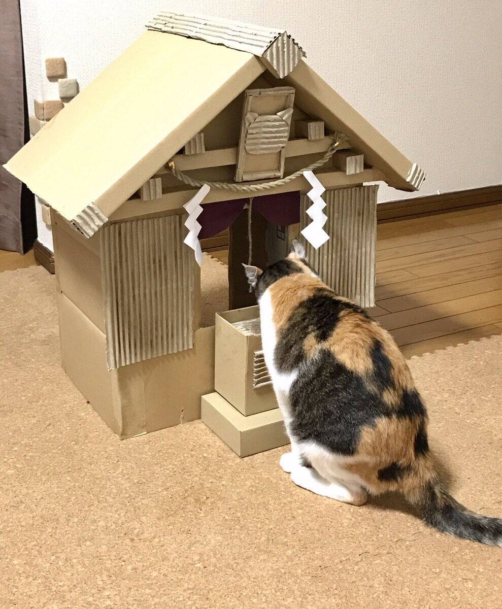 御神体は三毛猫ニャ 手作りダンボール神社でお賽銭まで回収する猫が可愛いと話題に 17年10月19日 エキサイトニュース