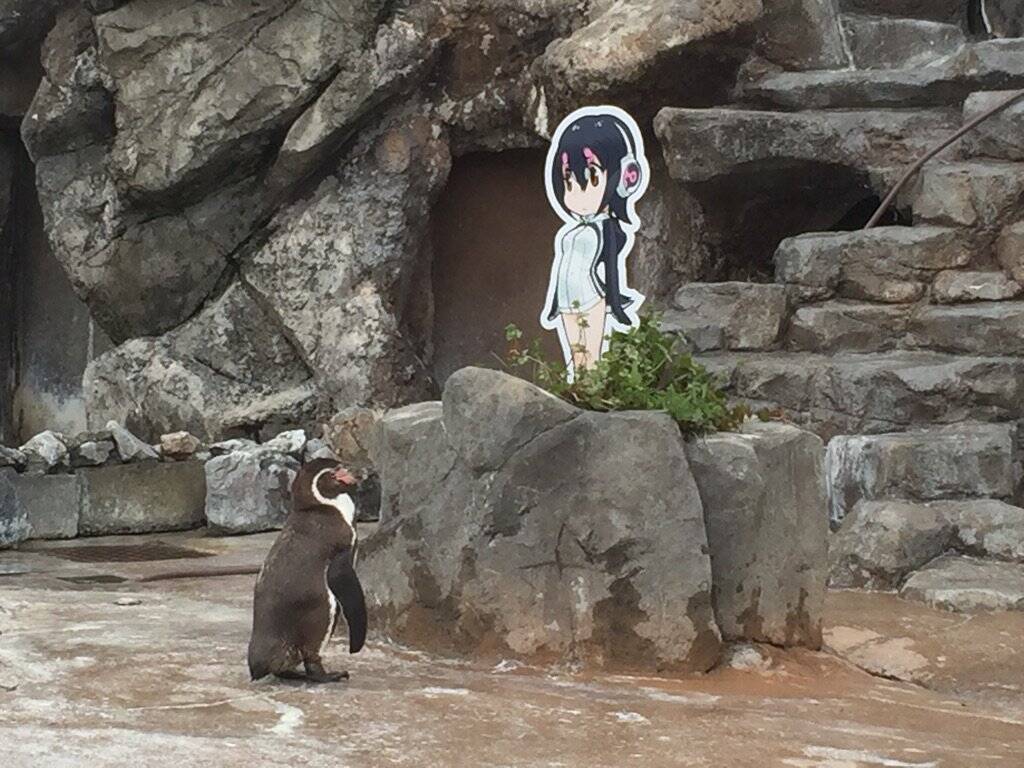 お爺ちゃんペンギンが二次元に恋 けものフレンズ のフンボルトペンギン フルルに魅了される 17年4月26日 エキサイトニュース
