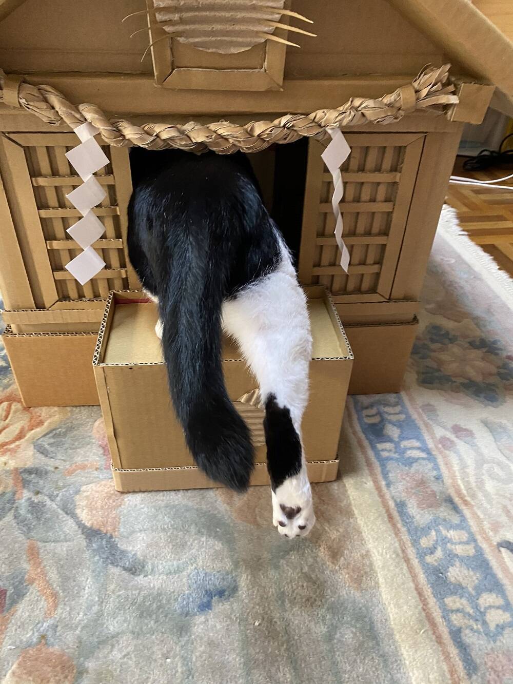 やっぱりあっちが良いニャ 立派なダンボール神社に収まるも 猫神様はやっぱり気まぐれ 1時間も経たずお気に入りの箱に移動してしまう 年9月11日 エキサイトニュース