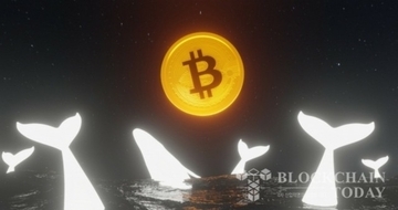 ビットコインのクジラ・新規投資家増加…中間層は減る