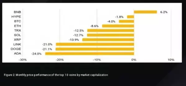 ブラックスワンの中で輝いた「ハイパーリクイッド」、なぜ投資家の注目を集めたのか