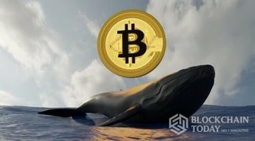 ビットコイン急落で···機関・個人は「後退」クジラは「安値買い」