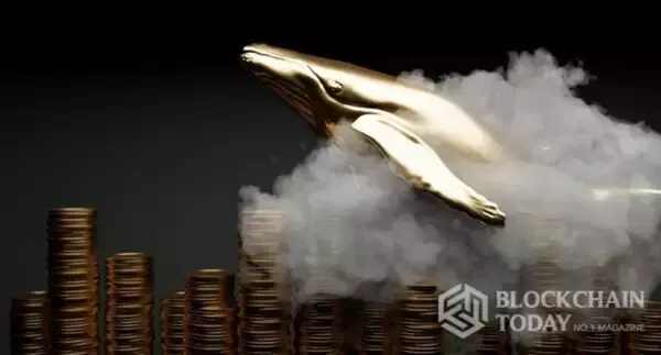 クジラがバイナンスに「BTC·ETH移動」の動きをキャッチ···買い気配かはまだ未確認