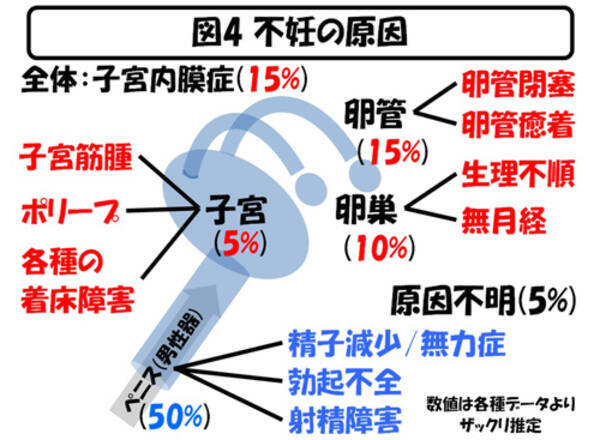 妊娠という非効率的メカニズム 私達の体に書き込まれている 出産させないシステム 13年12月25日 エキサイトニュース