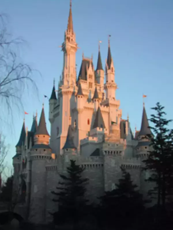ディズニーリゾート、突然の解雇めぐり従業員が会社を告発、偽装請負と劣悪環境の疑い