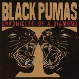 「グラミー賞にノミネートされたサイケデリック・ソウル・ユニット、Black Pumasが待望のセ カンド・アルバムをリリース。」の画像1