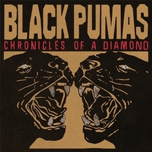 グラミー賞にノミネートされたサイケデリック・ソウル・ユニット、Black Pumasが待望のセ カンド・アルバムをリリース。