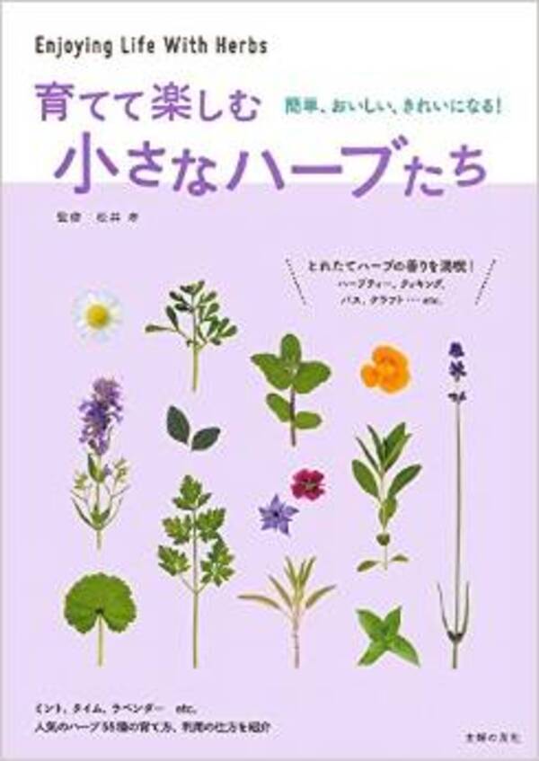 夏にオススメ ハーブビールの作り方とは 15年7月9日 エキサイトニュース