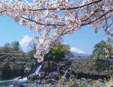 「富士山周辺の最高に楽しい観光スポット完全ガイド 絶景、パワースポット、キャンプ、グルメも」の画像17