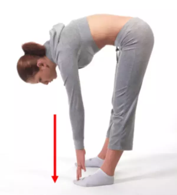 「【男性のための柔軟性アップ講座　連載第二回】柔軟性を上げるために必要な2つの力」の画像