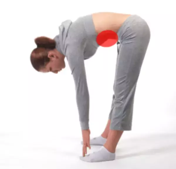 「【男性のための柔軟性アップ講座　連載第二回】柔軟性を上げるために必要な2つの力」の画像